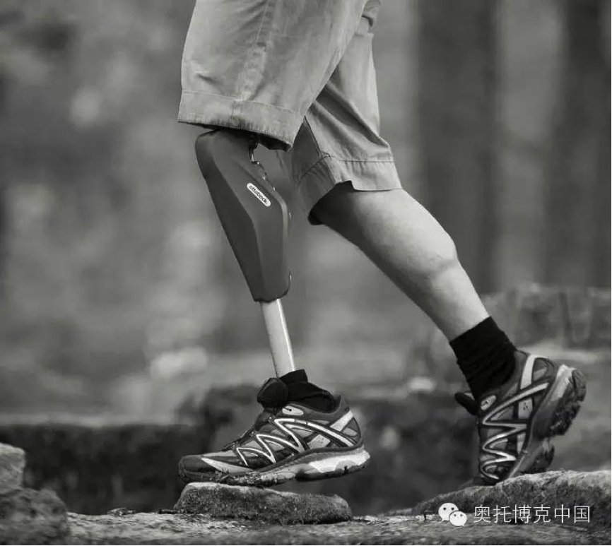 1-1F423121145E2 (1).png